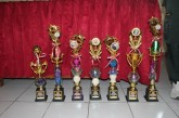 Foto SD Muh Sinar Fajar Olimpiade JSM Klaten 2015